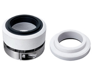 Mechanical Seals for Agitator